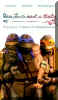 three-turtles-and-baby.jpg (110196 bytes)